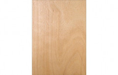 Hardwood Plywood Laminated Flush Door
