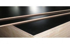 Plain Veneer Boards Black Film Shuttering Plywood Sheet