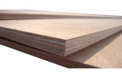 Rectangular Commercial Wooden Plywood, Thickness: 12 mm