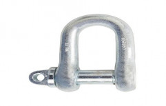 Stainless Steel D Shackle