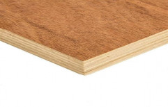 Brown Greenply Plywood Board, Thickness: 1-10 Mm