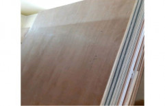 Brown Rectangular Plywood Sheet, Size: 8 * 4 Feet, Thickness: 18 Mm