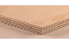 Brown Waterproof Plywood, Thickness: 19 Mm, Size: 8' x 4'