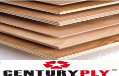 CenturyPly Brown Century Club Prime Plywood, For Furniture, Thickness: 4 mm