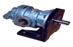 DEV Cast Iron Rotary Oil Gear Pump, Model: RGX