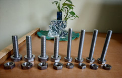 Exotic Elements Titanium Fasteners, Size: 2-4" (h)