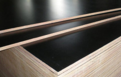 Shuttering Ply, Size: 8/4 Sq/Ft
