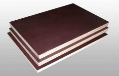 Shuttering Plywood, Thickness: 18 Mm