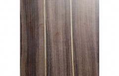 Vinner Wooden Laminated Door