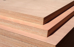 CenturyPly Ply, Thickness: 19mm