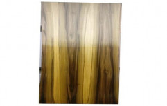 CenturyPly Wooden Laminated Plywood Sheet, Thickness: 7mm, Size: 8x4 Feet