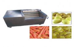 Ginger, Carrot & Potato Washer Cum Peeling Machine, Capacity: 100-300 kg/hr