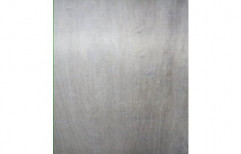 Gurjan Plywood Board, for Furniture, Thickness: 6-19 Mm