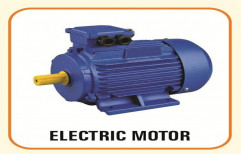 OMICRON >14000 RPM Three Phase Electric Motor, Power: 201-300 KW, 220