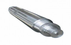 SS 202 Stainless Steel Shafts, Size: 12mm