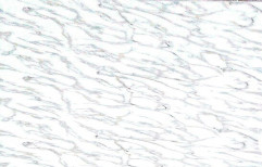 VTC Printed Designer White Marble Sheet, Thickness: 1.3-6mm