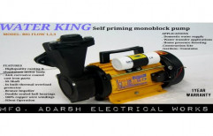 Water King 1 HP Self Priming Mono Block Pump, 2800 RPM, Electric