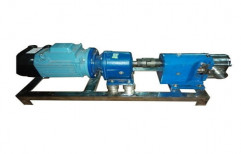30m Stainless Steel Rotary Lobe Pump, 220v, Automation Grade: Semi-Automatic