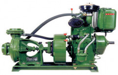 5 hp Cast Iron Diesel Pumpset for Agricultural