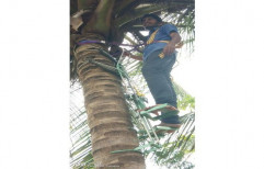 Anjayneya SS Coconut Tree Climber Machine With Safety Belt