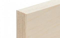 Birch Plywood, Size: 8'''' X 4'''' Feet, Thickness: 12mm - 18mm