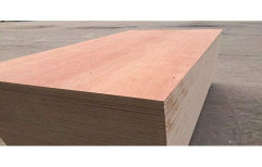 Brown 25mm Shuttering Plywood, Thickness: 25 Mm, Size: 6 X 4 Feet