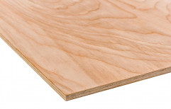 Brown Birch Plywood 6mm to 30mm, For Furniture, Grade: A