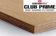 Brown CenturyPly Club Prime BWP Marine Plywood, Thickness: 19 mm