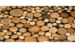 Brown Hardwood Timber Log