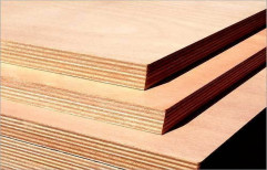 Brown Marine Grade Plywood, for Furniture, Thickness: 4-19 Mm