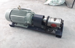 Eagle Pumps Cast Iron Rotary Gear Pump, Up to 3000 GPM
