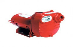 Effluent Pump