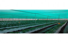 Green House Agro Shade Net by Gangadayal Crop Science Private Limited