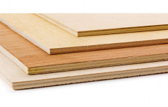 Hardwood RMG Commercial Plywood Boards, Size: 8 X 4 Feet, Thickness: 3 - 20