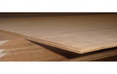 Poplar Eucalyptus Plywood Boards, Lacquer, 8' x 6'
