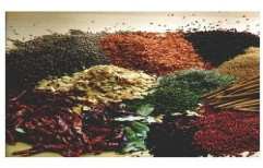 Seed Spices Consultant