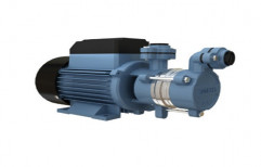 Single Phase Domestic Monoblock Pump, Maximum Discharge Flow: Less than 100 LPM