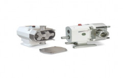 Stainless Steel Rotary Lobe Pumps