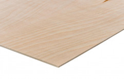 Sveza Beige,Cream Birch Plywood, For Furniture, Size: 8 Ft X 4 Ft