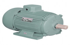 Three Phase 2 HP Field Marshal Induction Motor