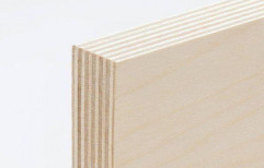 White Wooden Plywood, For Furniture, Thickness: 18 Mm