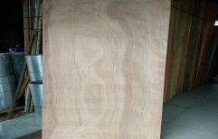 Wood Hardwood Flush Door