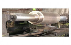 300 To 1500 MS Carbun And Alloy Steel Shafts