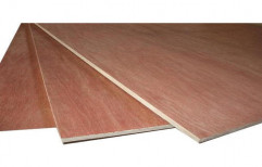 Brown MR Grade Plywood, for Furniture, Thickness: 4 mm - 40 mm