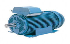 Foot Mounted Flame Proof Electric Motors, Voltage: 230 V, IP Rating: 55