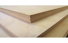 Marine Plywood, 6 To 18 Mm