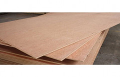 Poplar Brown Plywood Board, Thickness: 12 Mm