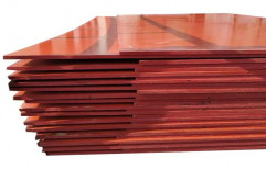 Red Shuttering Plywood, Thickness: 20 Mm, Size: 8x4 Ft