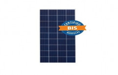 Solarium 75 W Poly Crystalline Solar PV Module