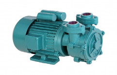 Upto 25 Mtrs Cast Iron Domestic Pump, Max Flow Rate: Upto 150 Lpm